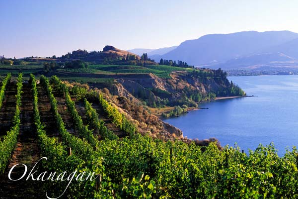 Winery by a  lake in the Okanagan