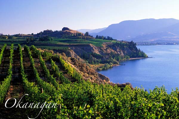 Winery by a lake in the Okanagan